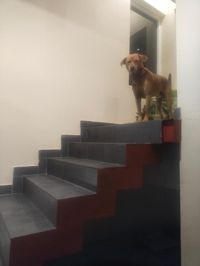 Two Bedroom House Madikeri Εξωτερικό φωτογραφία